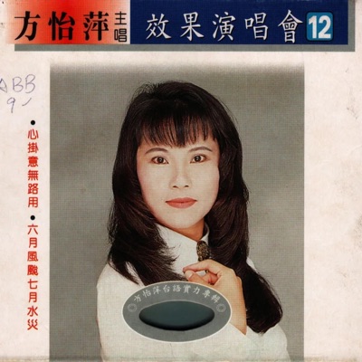 效果演唱會12