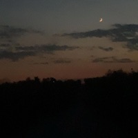 A Way To You - Single - Rowdy-X