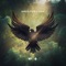 Bird's Eye View (feat. Jacob Stanifer) - Matthew Parker lyrics