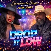 DROP IT LOW (feat. JETER JONES) - Single - Sunshine The Singer