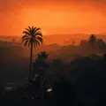 PALM LIGHTS