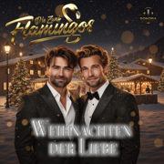 Weihnachten Der Liebe - Die Zwei Flamingos