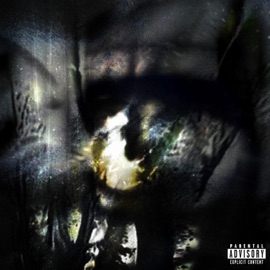 money mission 2 Fybelx