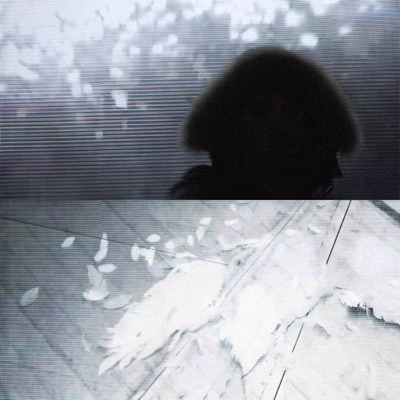 stern_faellt - Single