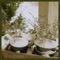 Weather2020 (feat. Charlie Whitten) - Molly Parden lyrics