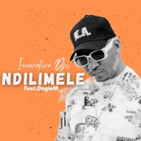 Ndilimele (feat. Ongie M) - Single - INNOVATIVE DJz