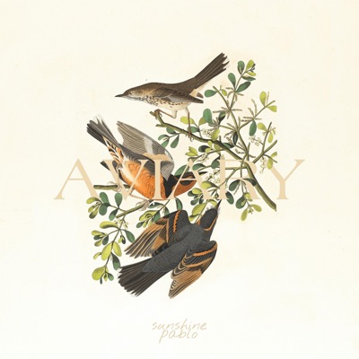 Aviary - Single