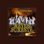Grupo Reyes del Sureste