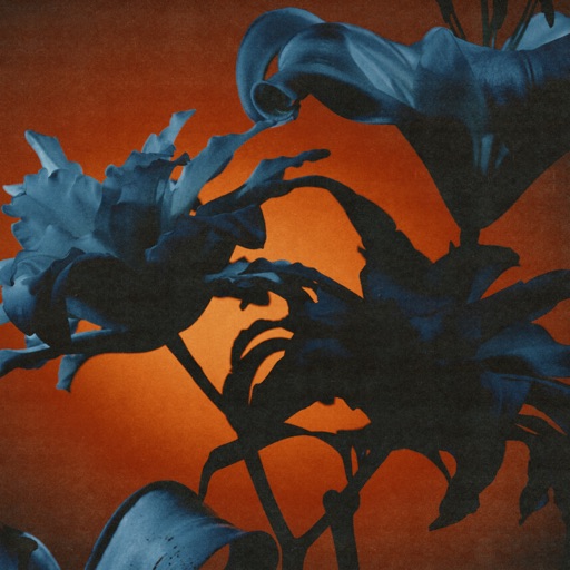 Album artwork