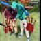 4th of July (feat. NGA Khii & Yungglock) - NGARICHRACKZ lyrics