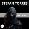 Stefan Torres - WAIT NOW artwork