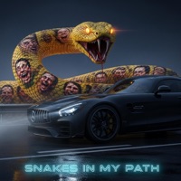 Snakes in my path - Single - N-ECHO