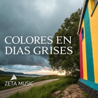 Colores En Días Grises - Single - Zeta Music