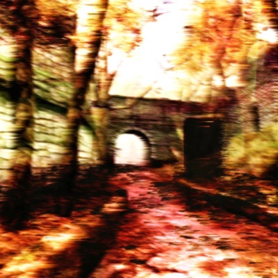 leaves (feat. not4them) - Single