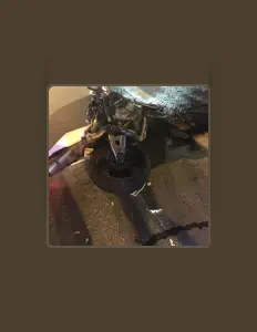 Listen to Marlywizz, watch music videos, read bio, see tour dates & more!