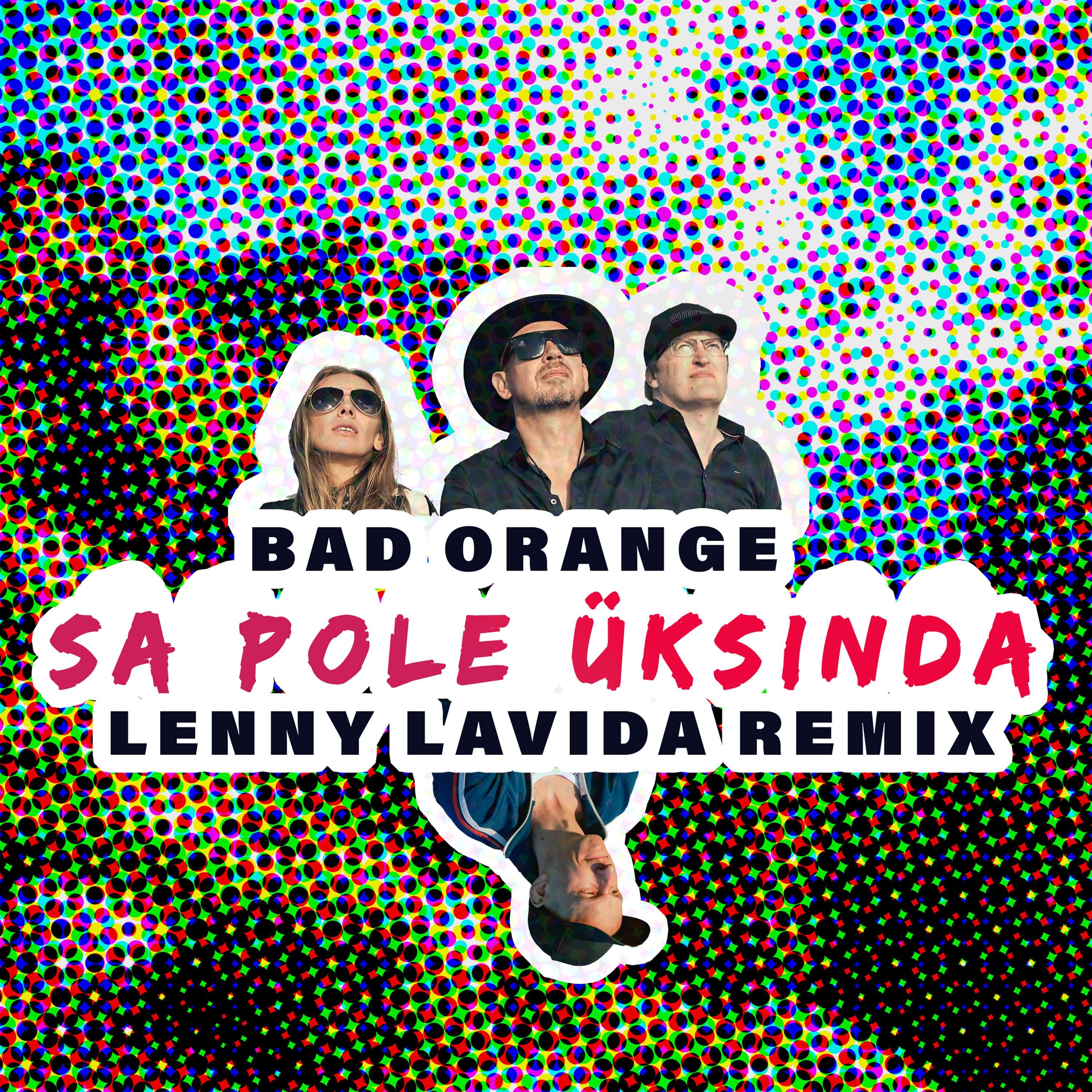 Sa pole üksinda (Lenny LaVida Remix) - Single