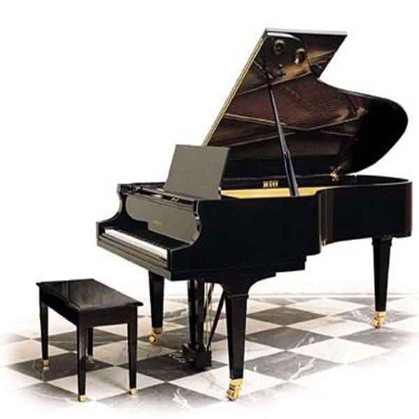 Tiếng Đàn Piano- Trần Thu Hà