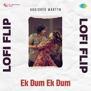 Ek Dum Ek Dum (Lofi Flip)