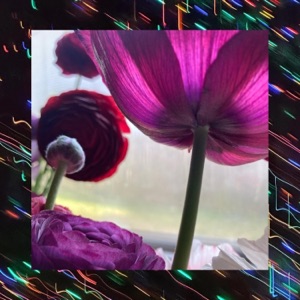 Magnify (feat. inamomentimalive, Raphah, Haleigh Swansen & Patrick Spatz) [Instrumental]