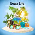 Gawan Liye