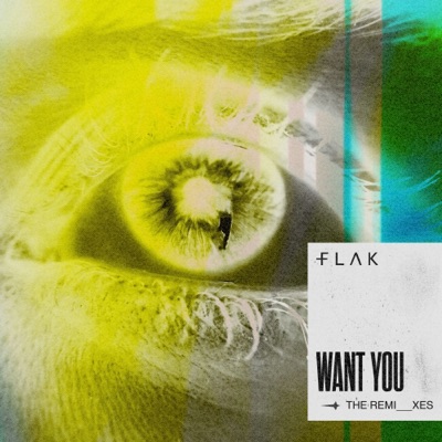 Want You (The Remixes) - EP