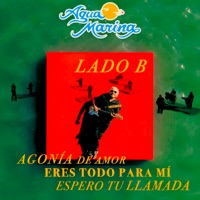 AGONIA DE AMOR