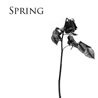 Spring - Single