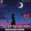 Raja Sudhir - Tere Bin Kuch Bhi Nahi