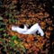 Donkey-Boy (feat. Olan Monk) - Ghost Mountain lyrics