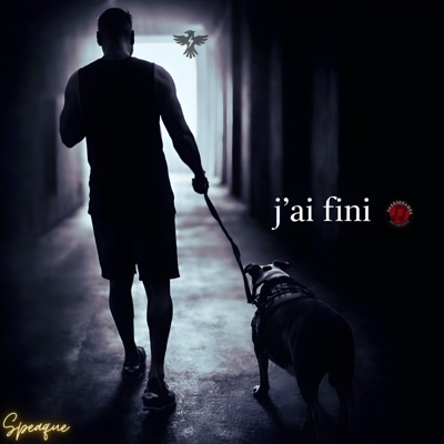 j'ai fini (feat. Jon Atoms & DJ FODO) - Single