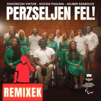 Perzseljen fel! (feat. DR BRS & Herczog Ricsi) [Remixek] - Various Artists