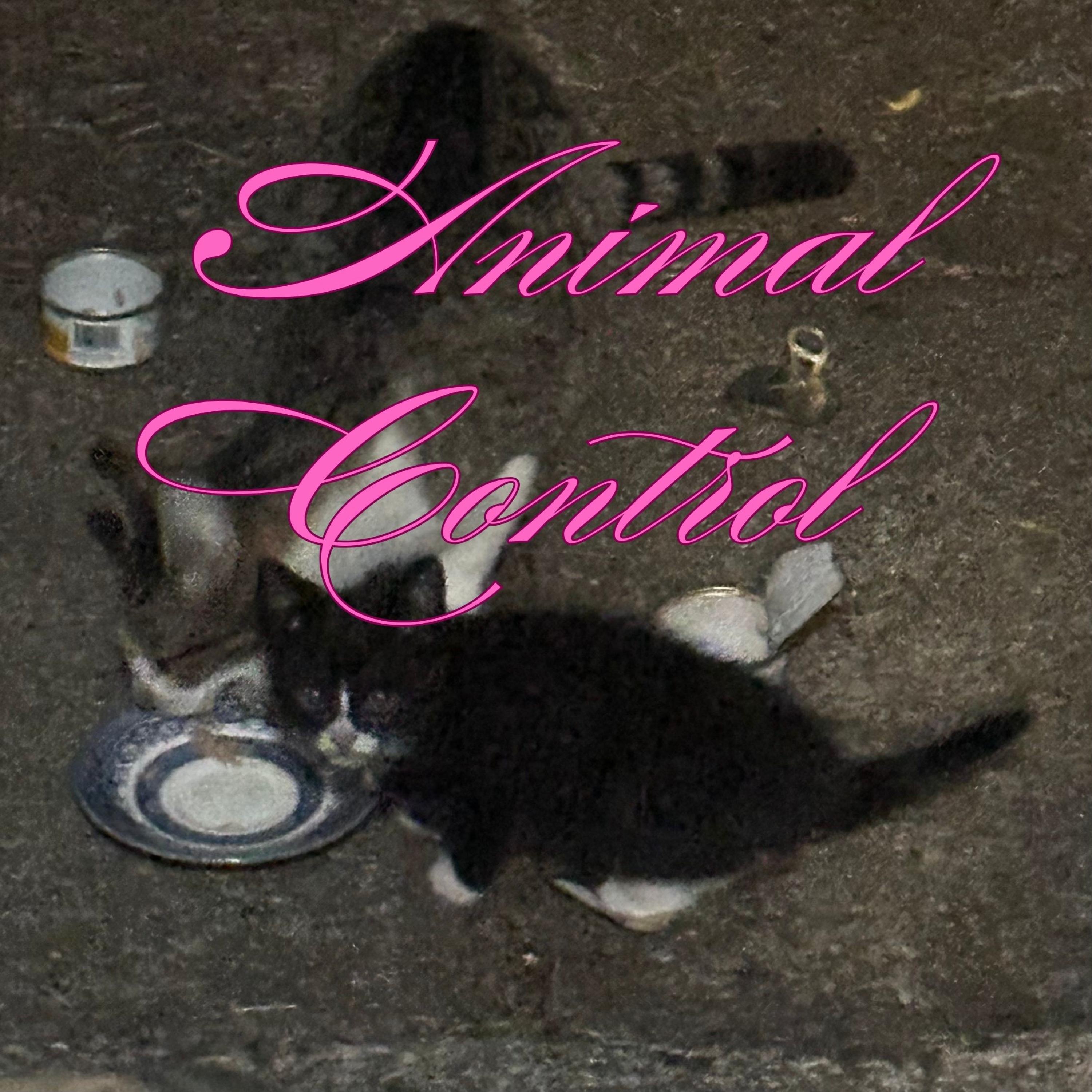 Animal Control - Single