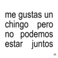 Me Gustas Un C****o Pero No Podemos Estar Juntos - Single - GNoiz