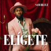 Sam Bluuz - El&iacute;gete portada