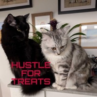 Hustle for Treats - Single - Julefjollene