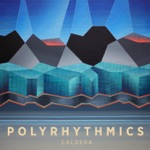 Polyrhythmics - Vodka for My Goat