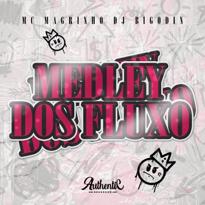 Medley dos Fluxo (feat. Mc Magrinho) - Single