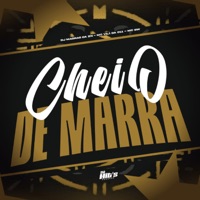 Cheio de Marra - Single - DJ MAGRAO DA ZN, MC VILÃ DA 011 & MC GW
