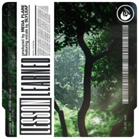 Lesson Learned (feat. Slyleaf) - Single - Mega Flare
