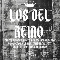 Los del Reino (feat. Adicto a Cristo, Antonio Soto, Little Junior, El Parck, Cristianero, Zent Jiménez, Yariel Rose, Osmar G, Los Garcia & NEFI) - Single - Cartel Divino