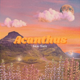 nothing wrong Kolby White