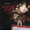 Sarajevo Gangsta City