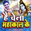 हैं चेला महाकाल के - Single