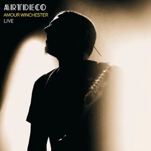 Amour Winchester (Live au Zèbre de Belleville 2023) - Single
