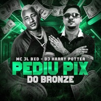 Pediu Pix do Bronze - Single - Mc Jl Bxd & DJ HARRY POTTER
