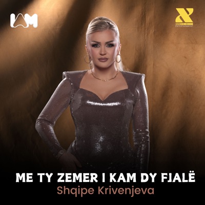 Me ty zemer i kam dy fjalë - Single