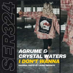 I Don't Wanna (feat. Crystal Waters) - Single