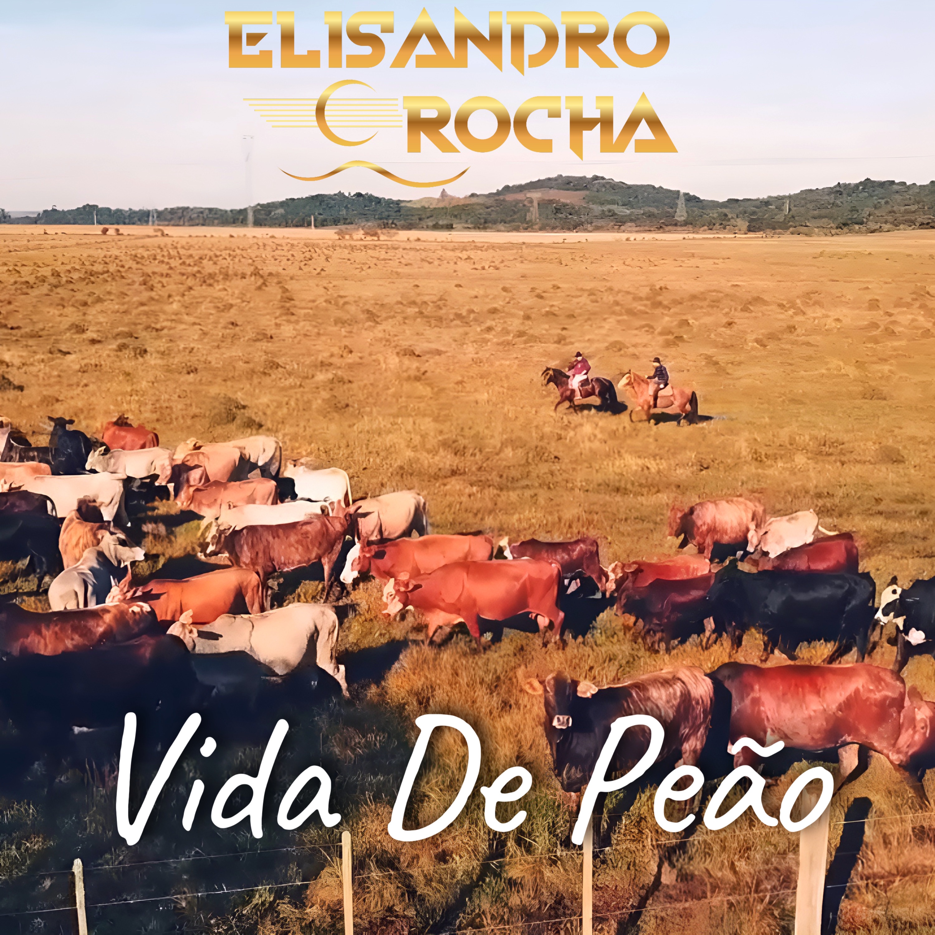 Vida de Peão - Single