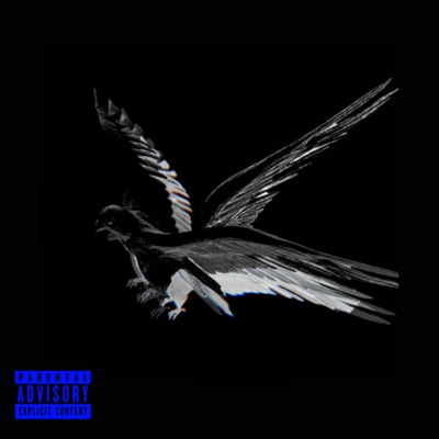 3L EFEC70 2001 - Single