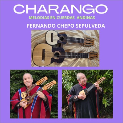 Charango Melodias En Cuerdas Andinas